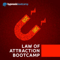 Wealth Bootcamp